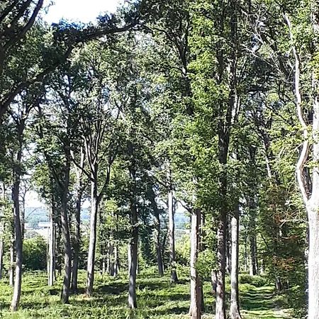 Bed and breakfast La Perle Secrete Theneuille