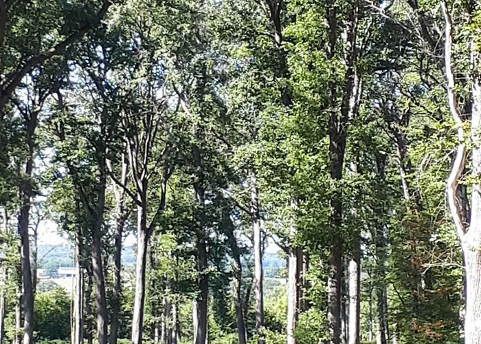 Frühstückspension La Perle Secrete Theneuille